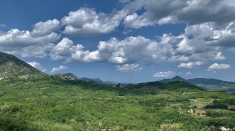 Biophilia e complessità del vivente