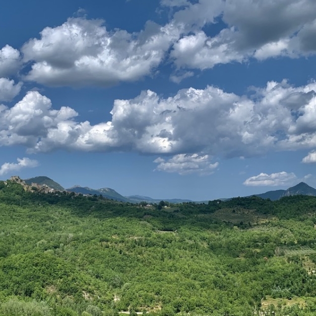 Biophilia e complessità del vivente