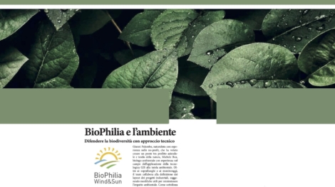 modello sostenibilità_