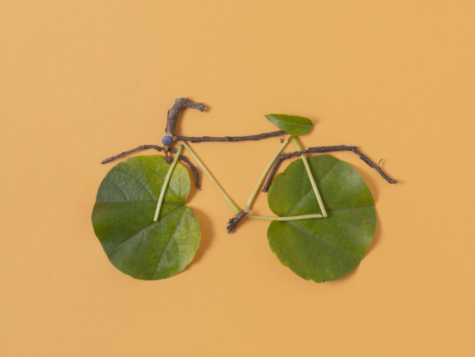 ecologia letteraria_